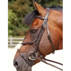 B163 FIG8 NOSEBAND BRIDLE