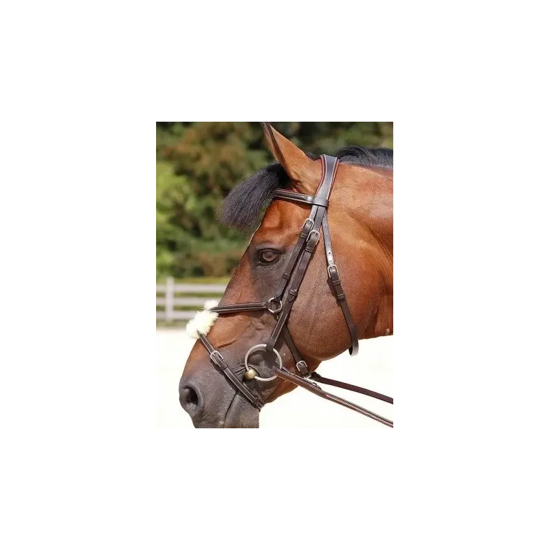 B163 FIG8 NOSEBAND BRIDLE