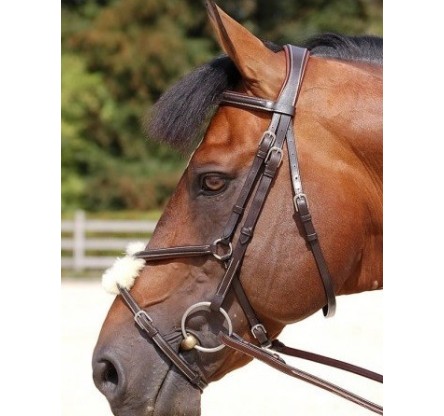 B163 FIG8 NOSEBAND BRIDLE