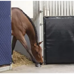 PROTECTOR DE PUERTA KENTUCKY