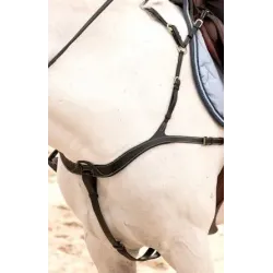 B438 ANATOMIC BREASTPLATE