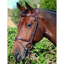 B111 BRIDLE FLASH NOSE