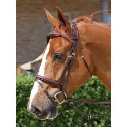 B131 CABEZADA DYON ANATOMICA