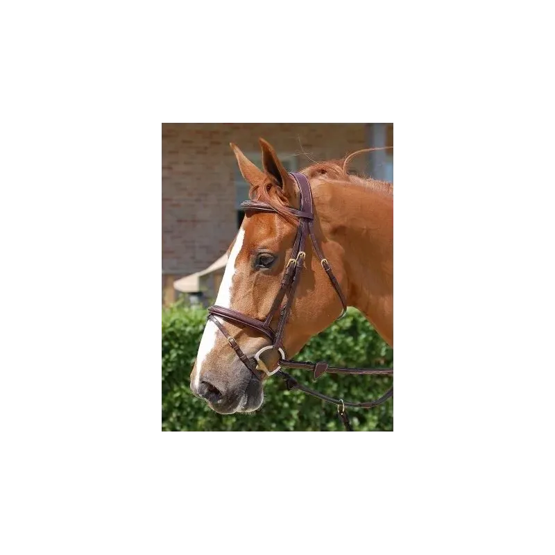 B131 CABEZADA DYON ANATOMICA