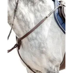 PECHOPETRALES PRESTIGE D40