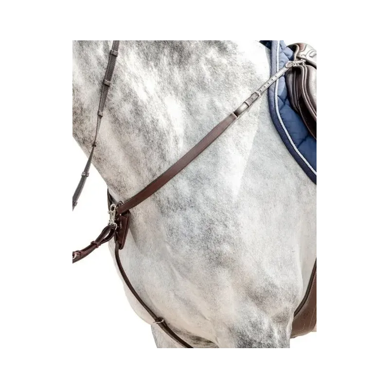 PECHOPETRALES PRESTIGE D40