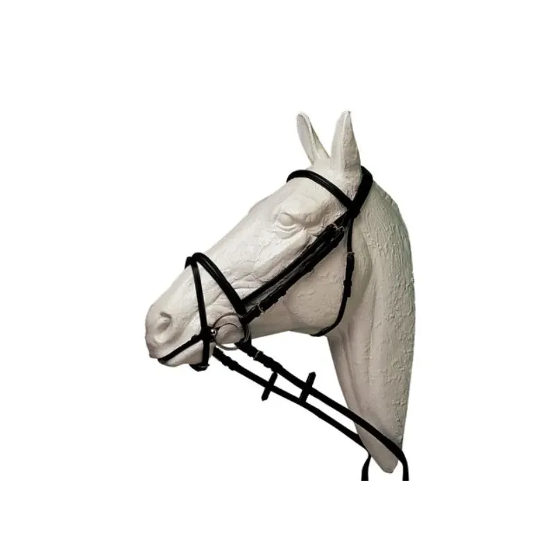 CABEZADA HH ALOMADA CON CIERRABOCAS RIENDAS LONA