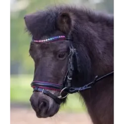 CABEZADAS DE MONTAR PARA PONIS PINKY