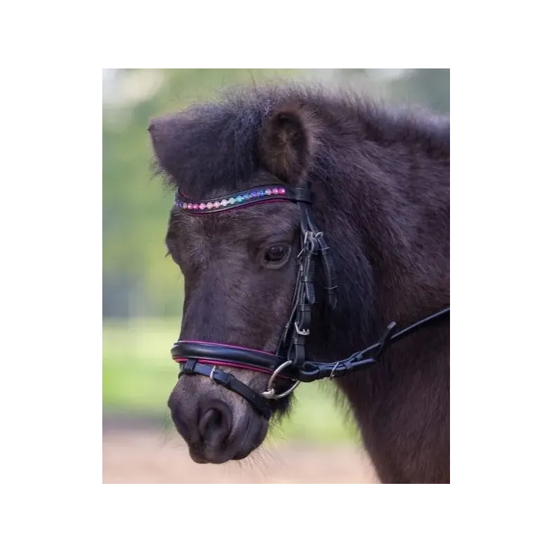 CABEZADAS DE MONTAR PARA PONIS PINKY