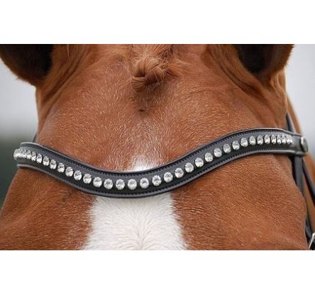 B005CSI V SHAPE SILVER CLINCHER BROWBAND