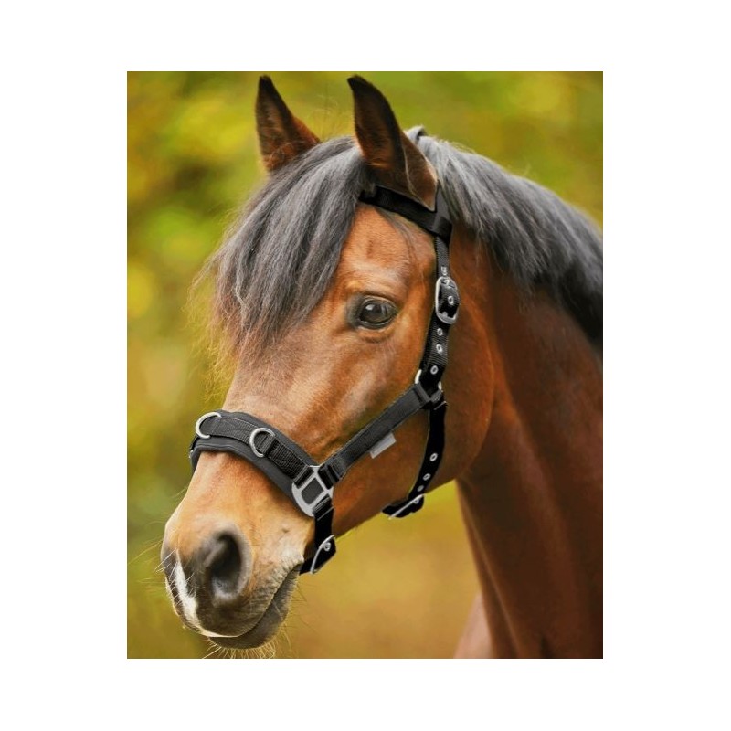 CABEZADA PARA DAR CUERDA