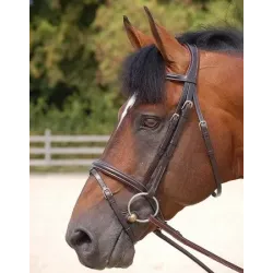 CABEZADAS DE MONTAR DYON B164 WO FLASH NOSEBAND BRIDLE