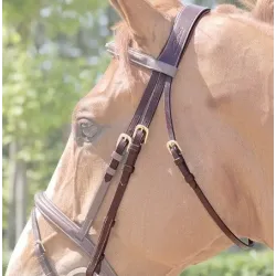 TESTERAS DE RECAMBIO DYON B100