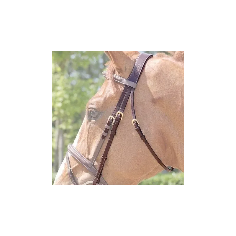 TESTERAS DE RECAMBIO DYON B100