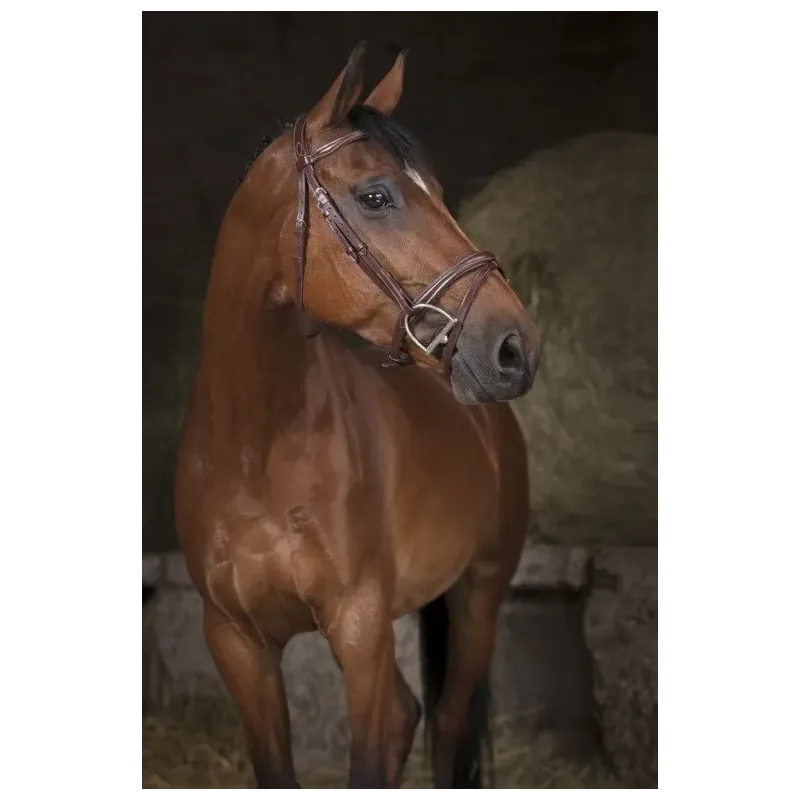 CABEZADAS DE MONTAR DE CUERO