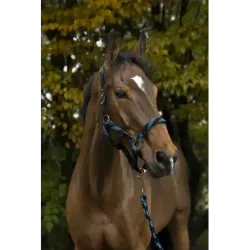 CABEZADAS DE CUADRA + RAMAL