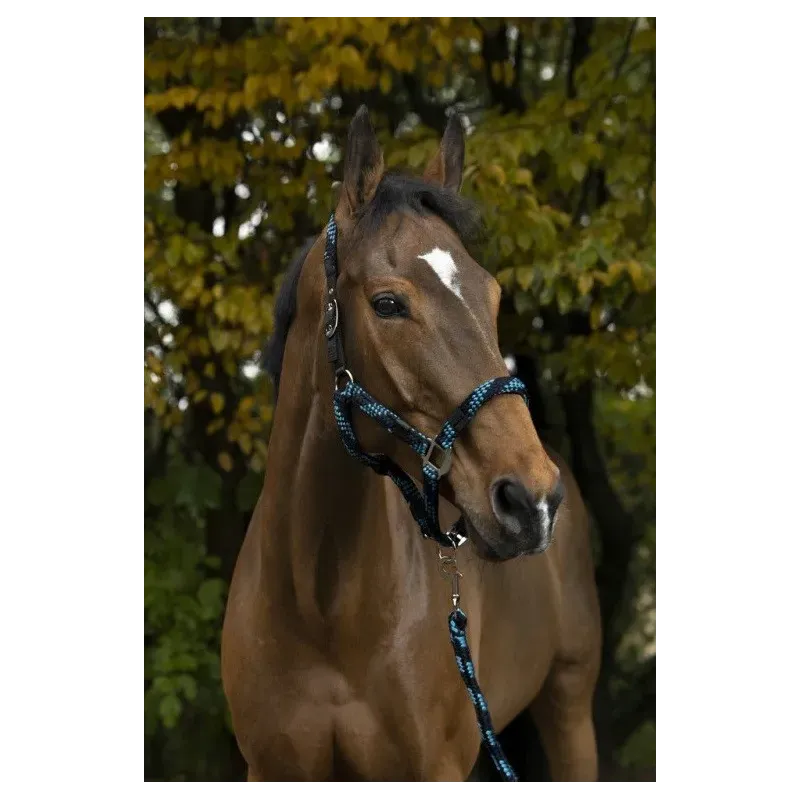 CABEZADAS DE CUADRA + RAMAL