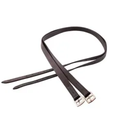 ACCIONES DE ESTRIBOS