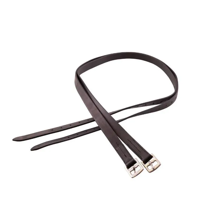 ACCIONES DE ESTRIBOS