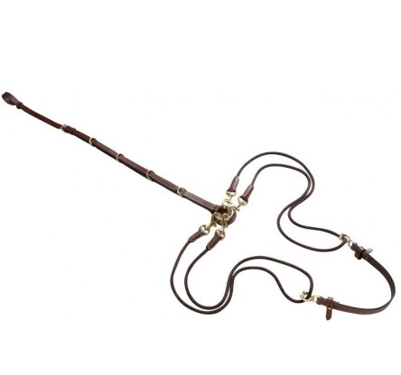 GOGUE CON POLEA ERIC THOMAS