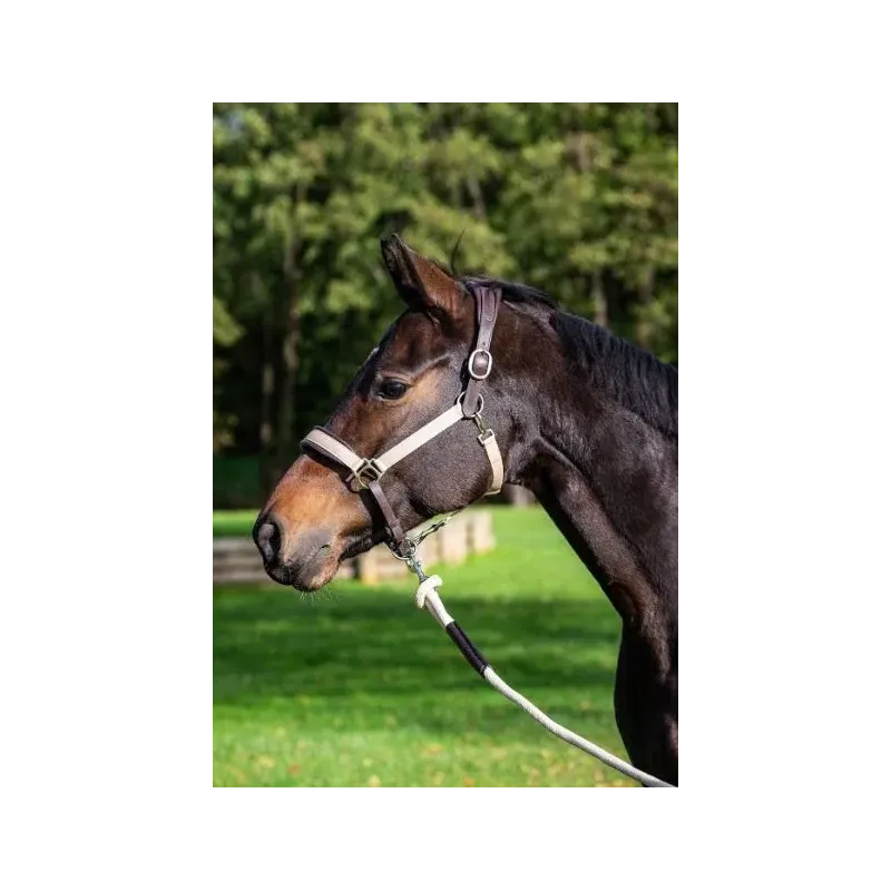 CABEZADAS DE CUADRA DYON