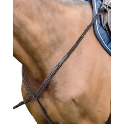 PECHOPETRALES INGLESES D36