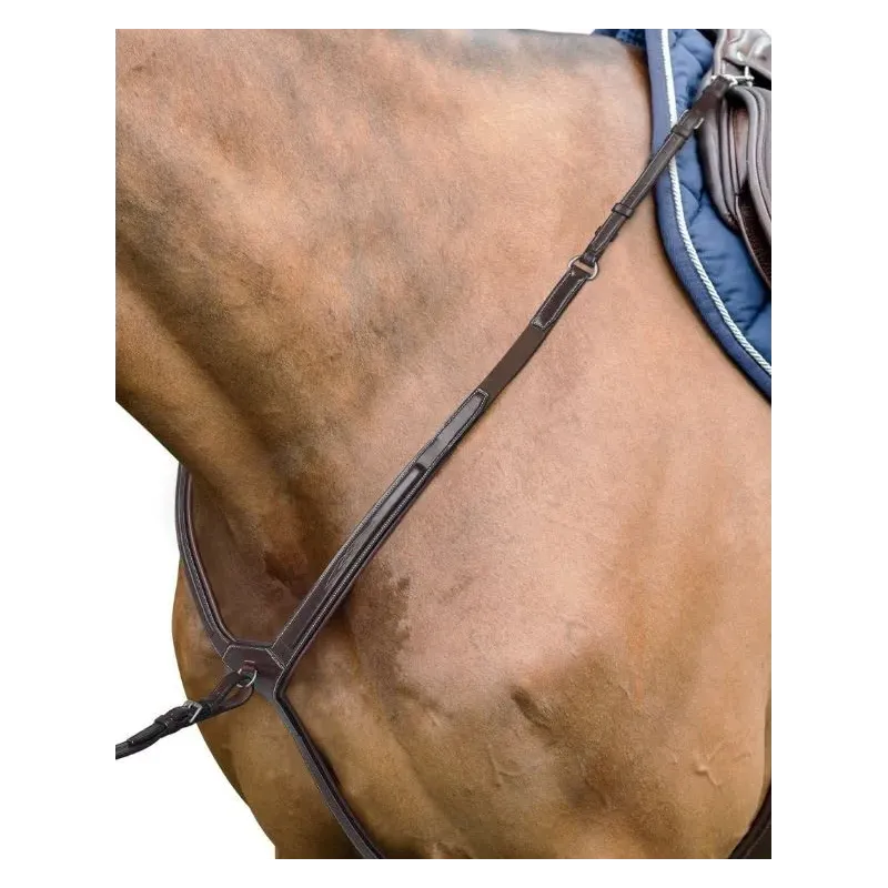 PECHOPETRALES INGLESES D36