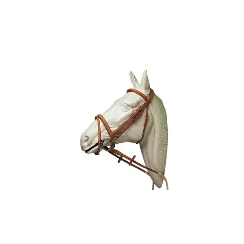 CABEZADA LEXHIS TIPO PESOA CON RIENDAS DE LONA