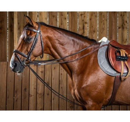 RIENDAS ALEMANAS DYON