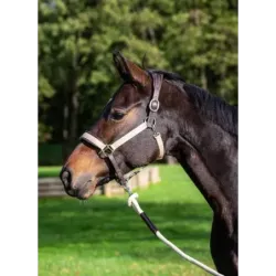 CABEZADAS DE CUADRA DYON CE09