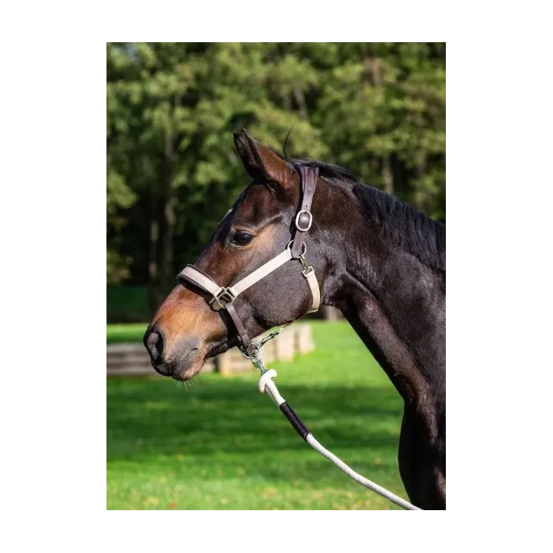 CABEZADAS DE CUADRA DYON CE09