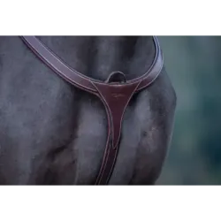 PECHOPETRAL DYON DY06C