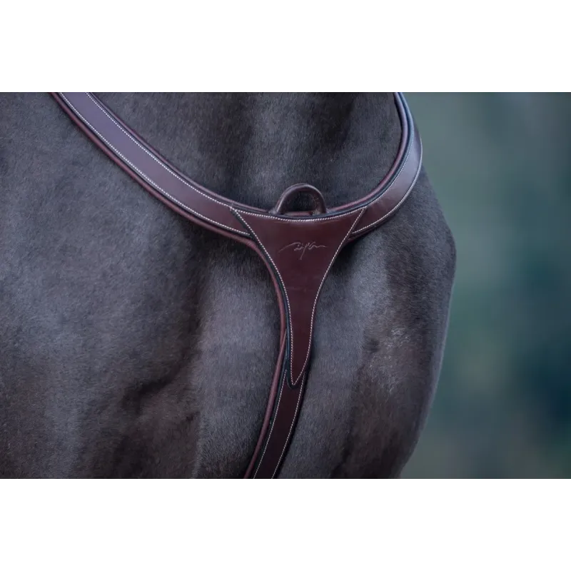 PECHOPETRAL DYON DY06C