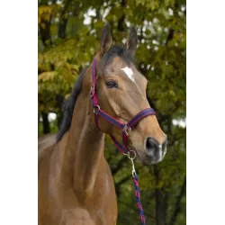 CABEZADAS DE CUADRA + RAMAL NORTON SATINÉ