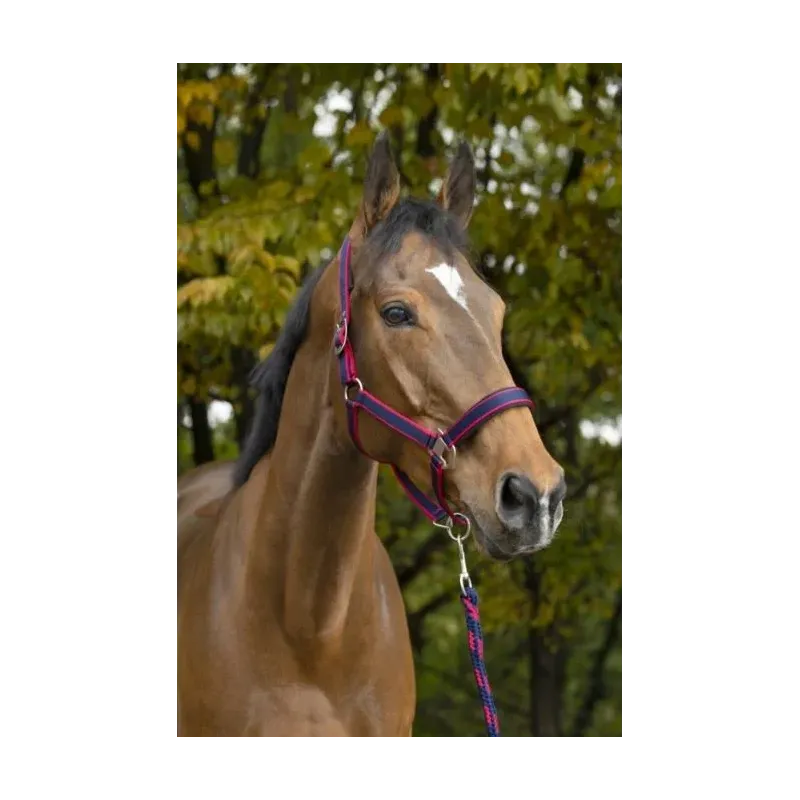 CABEZADAS DE CUADRA + RAMAL NORTON SATINÉ