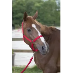 CABEZADAS DE CUADRA + RAMAL CLUB RIDING WORLD