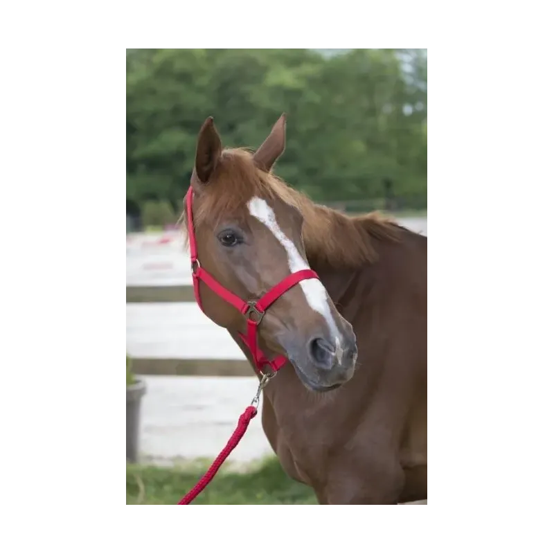 CABEZADAS DE CUADRA + RAMAL CLUB RIDING WORLD