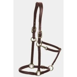 CABEZADA ANATOMIC DE CUERO