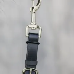 RAMALES DE PRESENTACION KENTUCKY