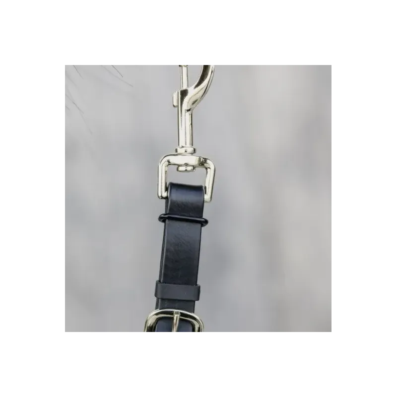 RAMALES DE PRESENTACION KENTUCKY