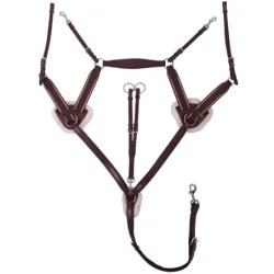 PECHOPETRAL 2519BREASTPLATE ONTARIO