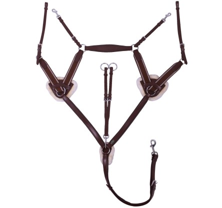 PECHOPETRAL 2519BREASTPLATE ONTARIO