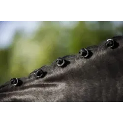 ANN NATTER E-T STRASS