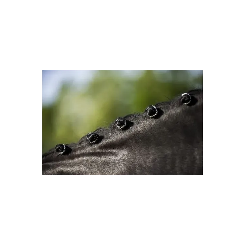 ANN NATTER E-T STRASS