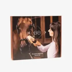 JUEGO DE PINCELES ESENCIAL DE 6 PIEZAS