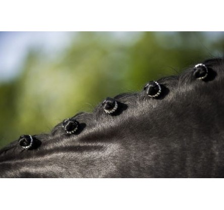 ANN NATTER E-T STRASS