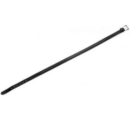 CINTURONES EQUITHÈME FANCY