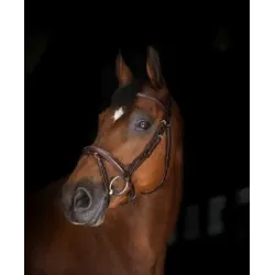 CABEZADA DE MONTAR ERIC THOMAS MODELO PARIS