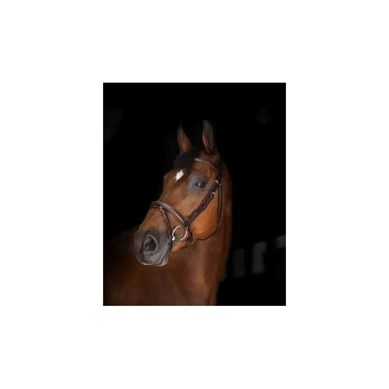 CABEZADA DE MONTAR ERIC THOMAS MODELO PARIS