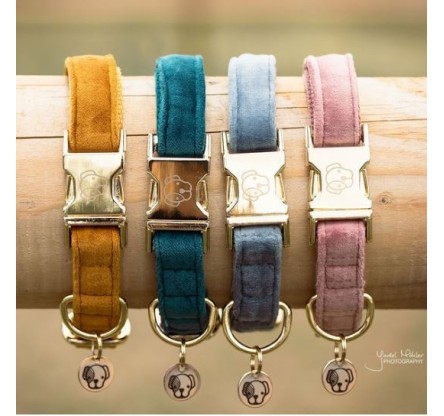 42538 DOG COLLAR VELVET 